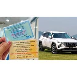 Sử dụng cà vẹt ô tô giả bị phạt bao nhiêu?