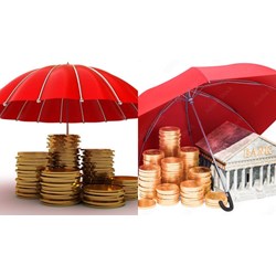 Thời gian nộp đơn đề nghị cấp Chứng nhận tham gia bảo hiểm tiền gửi