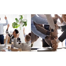 Write a description of your community activities kèm bản dịch