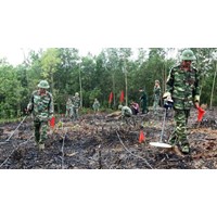Khu vực bãi mìn được rà phá bom mìn theo trình tự nào?