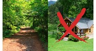 Xây dựng nhà trái phép trên đất rừng phòng hộ bị xử lý thế nào?