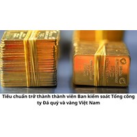 Tiêu chuẩn trở thành thành viên Ban kiểm soát Tổng công ty Đá quý và vàng Việt Nam