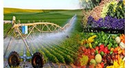 Ai có quyền bổ nhiệm vụ trưởng Vụ Khoa học Công nghệ và Môi trường thuộc Bộ Nông nghiệp và Phát triển nông thôn