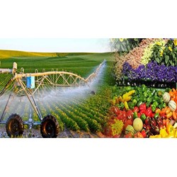Ai có quyền bổ nhiệm vụ trưởng Vụ Khoa học Công nghệ và Môi trường thuộc Bộ Nông nghiệp và Phát triển nông thôn