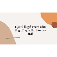 Lực từ là gì? Quy tắc bàn tay trái và bài tập vận dụng