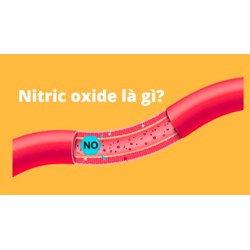 Oxit nitric là gì? Có tác dụng gì đối với sức khỏe?