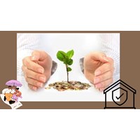 Điều kiện thành lập tổ chức tương hỗ cung cấp bảo hiểm vi mô
