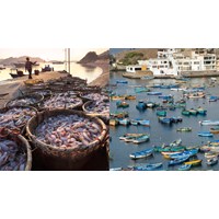 Quy định về phẩm chất của Kiểm ngư viên