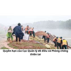 Quyền hạn của Cục Quản lý đê điều và Phòng chống thiên tai