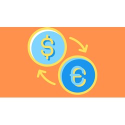 Trách nhiệm của tổ chức, cá nhân có hoạt động ngoại hối trên lãnh thổ Việt Nam