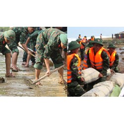 Quy định cơ quan chỉ đạo quốc gia và chỉ huy phòng thủ dân sự