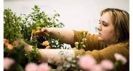 Yêu cầu về bằng cấp đối với chuyên viên quản lý trồng trọt