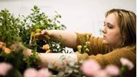Yêu cầu về bằng cấp đối với chuyên viên quản lý trồng trọt