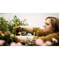 Yêu cầu về bằng cấp đối với chuyên viên quản lý trồng trọt