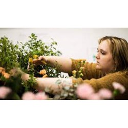 Yêu cầu về bằng cấp đối với chuyên viên quản lý trồng trọt