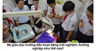Bộ giáo dục hướng dẫn hoạt động trải nghiệm, hướng nghiệp như thế nào?