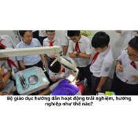 Bộ giáo dục hướng dẫn hoạt động trải nghiệm, hướng nghiệp như thế nào?