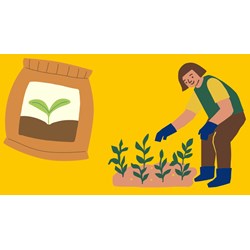 Chuyên viên về quản lý phân bón có năng lực như thế nào?