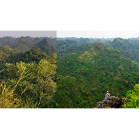 Write a description of Cat Ba National Park kèm bản dịch siêu hay