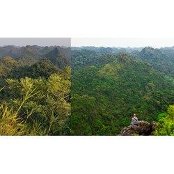 Write a description of Cat Ba National Park kèm bản dịch siêu hay