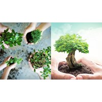 Hồ sơ, thủ tục đăng ký đề án bảo vệ môi trường