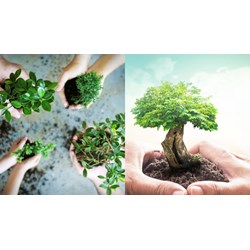 Hồ sơ, thủ tục đăng ký đề án bảo vệ môi trường