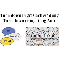 Turn down là gì? Cách sử dụng Turn down trong tiếng Anh
