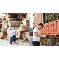 Thay đổi hồ sơ, thủ tục kiểm dịch thực vật nhập khẩu như thế nào?