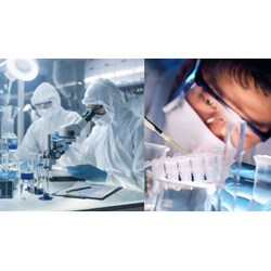 Mẫu bản đăng ký xét công nhận nhà khoa học đầu ngành
