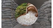 Quy trình bảo quản với gạo dự trữ quốc gia