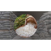 Quy trình bảo quản với gạo dự trữ quốc gia