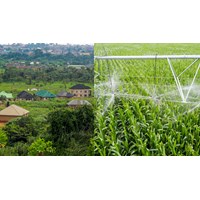 Trình tự thực hiện thủ tục công nhận vùng nông nghiệp ứng dụng cao mới?