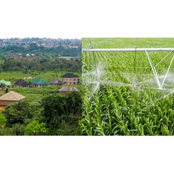 Trình tự thực hiện thủ tục công nhận vùng nông nghiệp ứng dụng cao mới?
