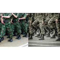 Quân đội nhân dân có bao nhiêu lực lượng thường trực theo quy định?