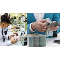 Sử dụng con dấu của ai để cơ cấu lại hệ thống các tổ chức tín dụng ?
