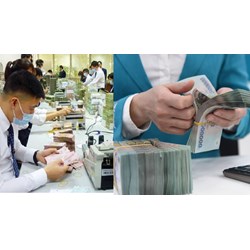 Sử dụng con dấu của ai để cơ cấu lại hệ thống các tổ chức tín dụng ?
