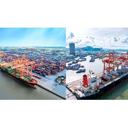 Ai lập kế hoạch lựa chọn nhà thầu để trình Cục Hàng hải Việt Nam phê duyệt?