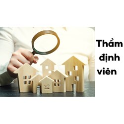 Thẩm định viên về giá có được quyền đưa ra quan điểm độc lập về chuyên môn nghiệp vụ không?