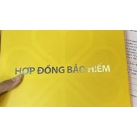 Sắp tới, vi phạm về bảo hiểm nhân thọ có thể bị xử phạt tới 100 triệu đồng