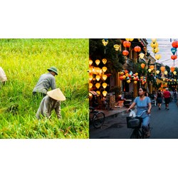 Giới thiệu về quê hương bằng tiếng Anh hay, ấn tượng kèm bản dịch