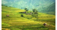 Thủ tục giao đất, cho thuê đất đối với trường hợp đấu giá quyền sử dụng đất không thành