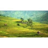 Thủ tục giao đất, cho thuê đất đối với trường hợp đấu giá quyền sử dụng đất không thành