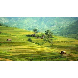 Thủ tục giao đất, cho thuê đất đối với trường hợp đấu giá quyền sử dụng đất không thành