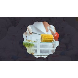 Điều kiện thành lập công ty công nghệ thực phẩm?