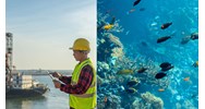 Mục đích hoạt động của Hội Khoa học kỹ thuật Biển Việt Nam?
