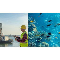 Mục đích hoạt động của Hội Khoa học kỹ thuật Biển Việt Nam?