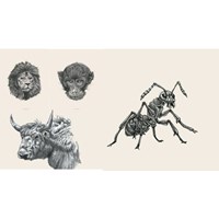Bộ ảnh động vật 4D cho Animal 4D+ đẹp, sinh động