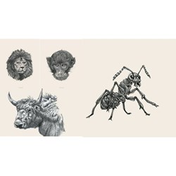 Bộ ảnh động vật 4D cho Animal 4D+ đẹp, sinh động