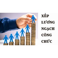 Xếp lương các ngạch công chức chuyên ngành thống kê
