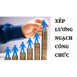 Xếp lương các ngạch công chức chuyên ngành thống kê